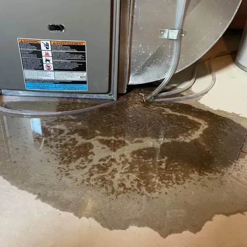 Appliance Leak Cleanup in Norway, ME